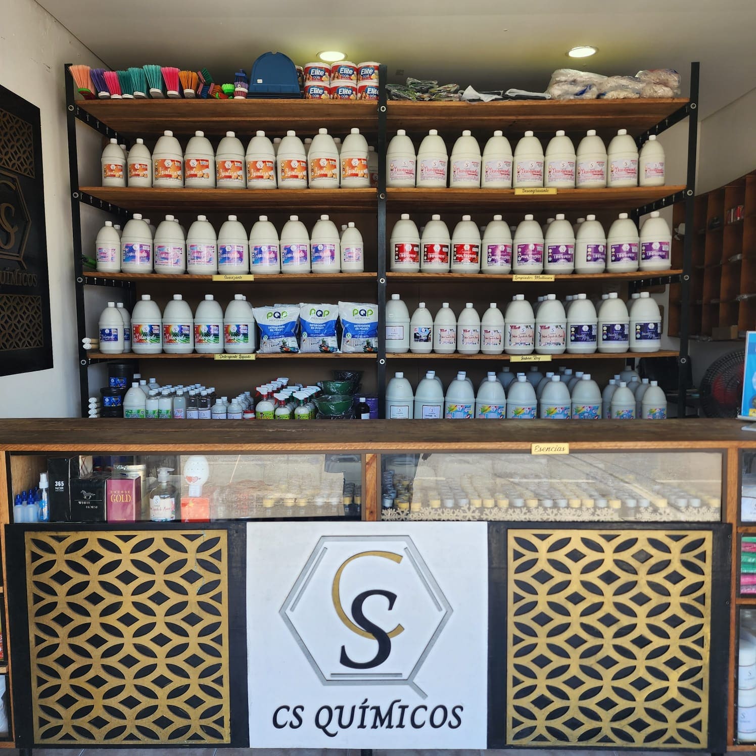 CS Químicos — primer año